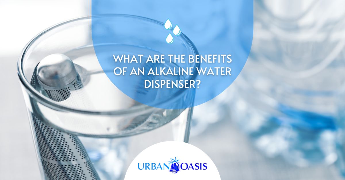 What Are the Benefits of An Alkaline Water Dispenser?