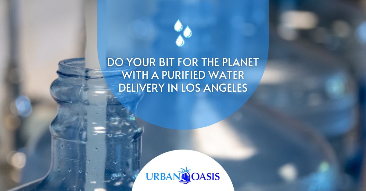 Do Your Bit For the Planet With a Purified Water Delivery in Los Angeles