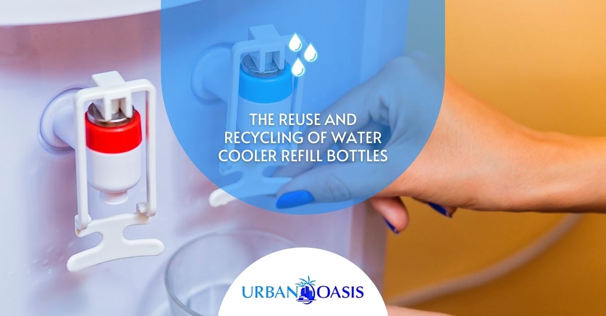 The Reuse and Recycling of Water Cooler Refill Bottles