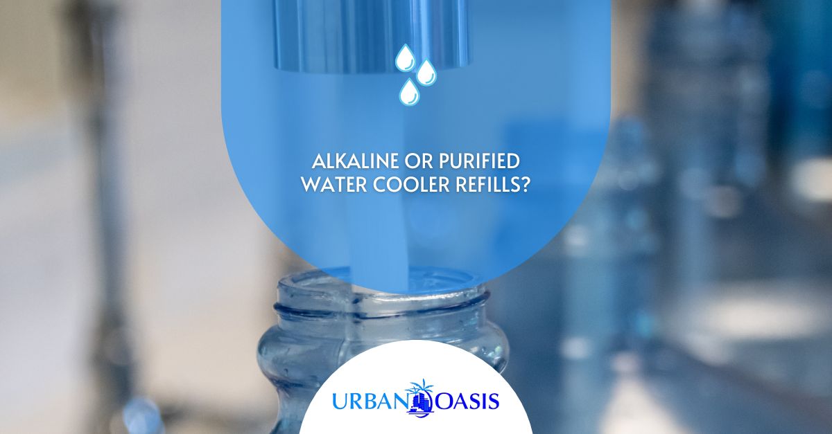 Alkaline or Purified Water Cooler Refills?