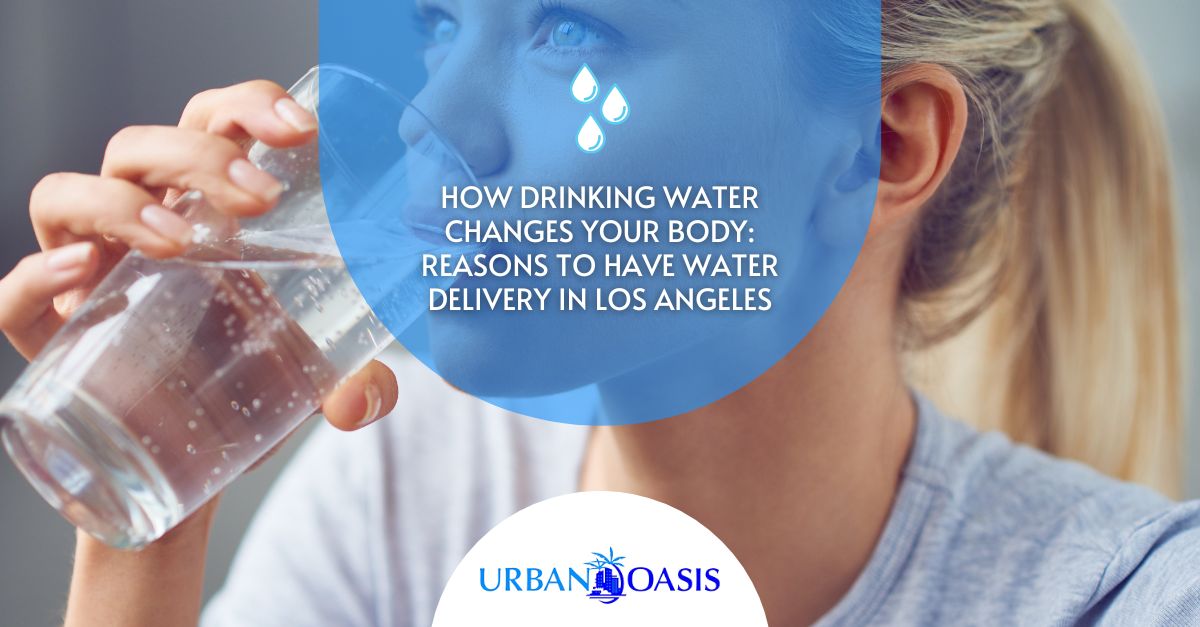 How Drinking Water Changes Your Body: Reasons to Have Water Delivery in Los Angeles